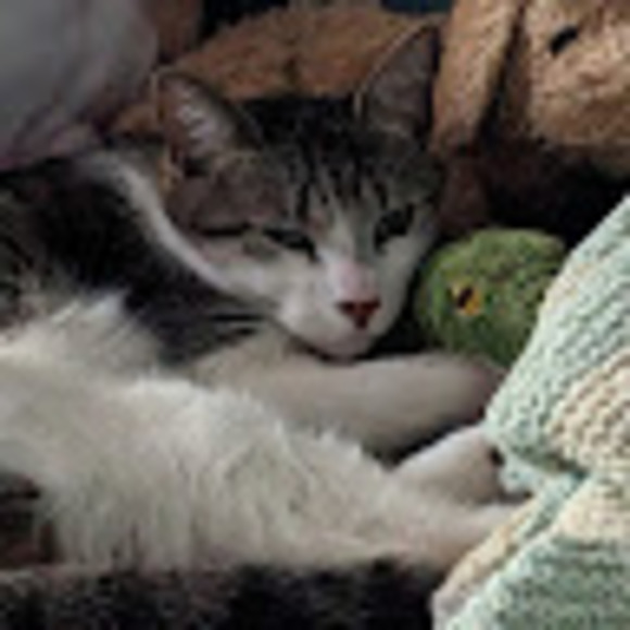 Meet your Posher, Olivia - Picture 1 of 1